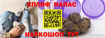 ГАЛЛЮЦИНОГЕННЫЕ ГРИБЫ Можга